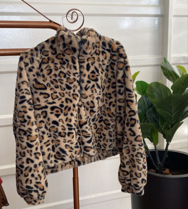 auto draft auto draft